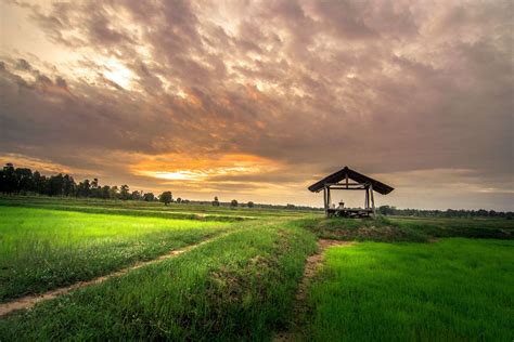 Farm Field Nature 4k Wallpapers Top Free Farm Field Nature 4k