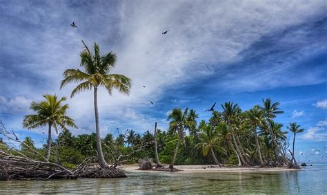 Polinezya Nerededir Polinezyanın Coğrafyası Ile Tarihi Hakkında Bilgiler