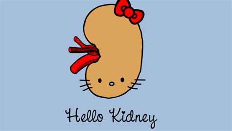 You will suffer until the kidney stone get out alone or will be removed. World Kidney Day 2018: Funny Jokes on Kidneys and Kidney Stones Will Relieve You of Stress ...