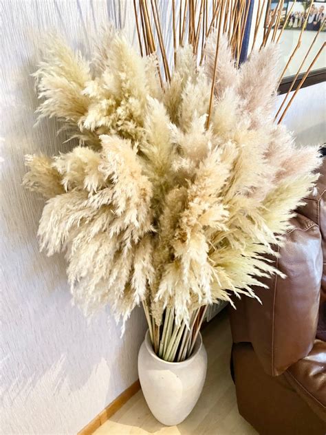Sale Tall Pampas Grass 115 120cm Weddingdry Floral For Home Etsy Uk