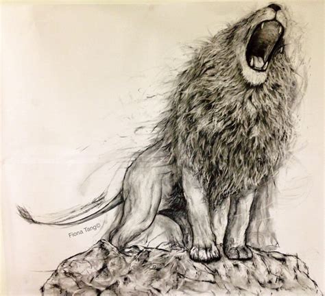 Lion Roar Drawing At Getdrawings Free Download