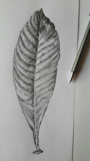 40 Leaf Pencil Drawing Ideas Art Pencil Drawings Of Flowers Leaves