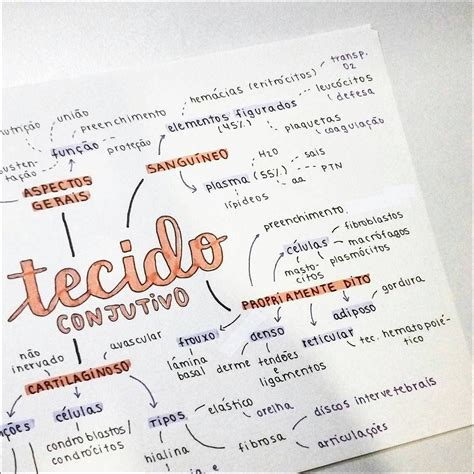 100 Mapas Mentais Sobre Tecido Conjuntivo Study Maps