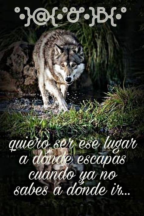 😈🐺😈 frases frases de lobos frases de guerrero