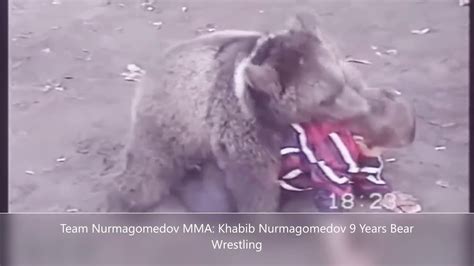 Khabib Nurmagomedov 9 Years Bear Wrestling Youtube