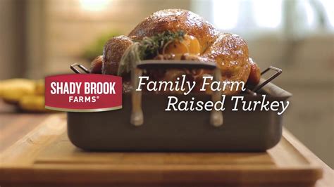 How To Cook A Turkey Shady Brook Farms Youtube
