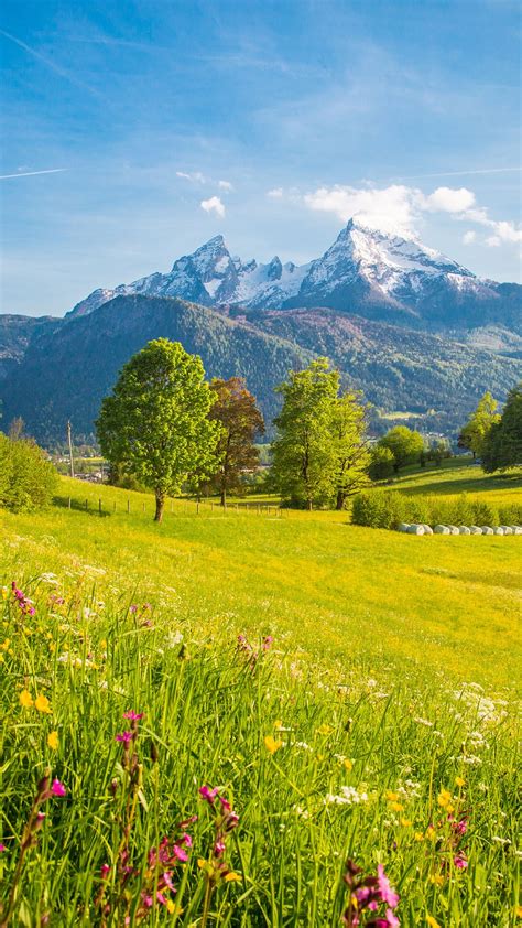 Idyllic Mountain Scenery In The Alps With Blooming Meadows In