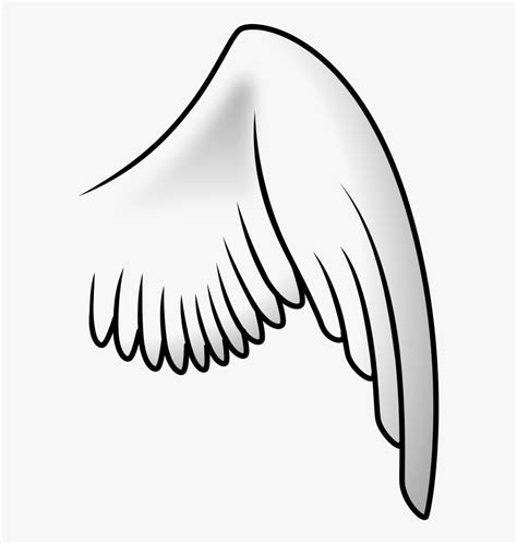 Transparent Angel Wings Vector Png Bird Wing Clip Art Png Download