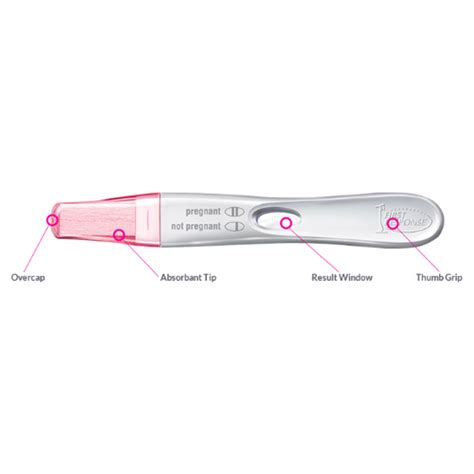 First Response Early Result Pregnancy Test 2ct Condom Depot