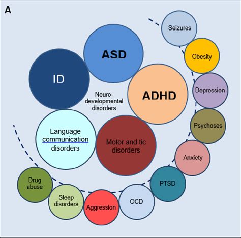 Figure 1 From Understanding Autism And Other Neurodevelopmental Disorders Through Experimental