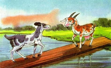 Two Goats And The Narrow Bridge Story Bdtwitter