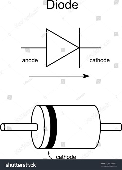 In A Diode Schematic The Anode Is Represented By Transborder Media