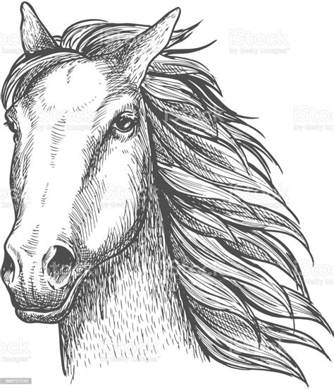 Detail Gambar Sketsa Kuda Koleksi Nomer 37