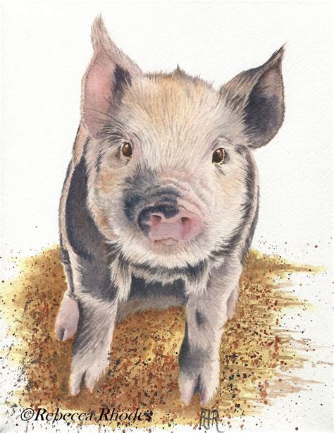 Watercolor Tutorial Of A Pig By Rebecca Rhodes Animal Paintings Pig