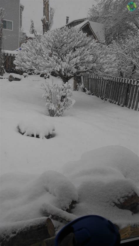 Viewer Submitted Utahs Deep Snow Photos From Around The State Kutv