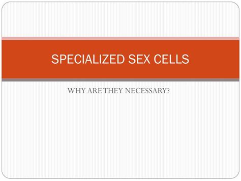 Ppt Specialized Sex Cells Powerpoint Presentation Free Download Id