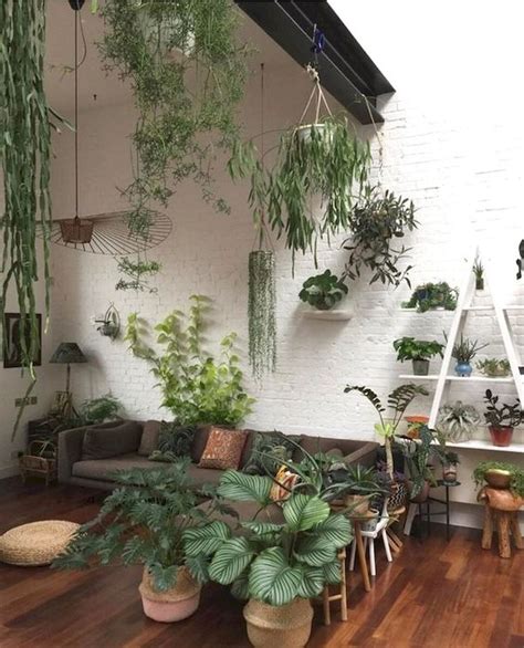 Beautiful Ways To Decorate Indoor Plant In Living Room Interior