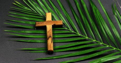Palm Sunday Reflections Call To Prayer