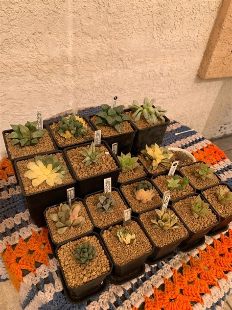 Ha. Ha. : r/ApplyingToCollege