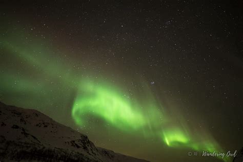 Northern Lights 13th January Tracey Hind Flickr