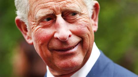 Court Rules Prince Charles Letters Can Be Disclosed