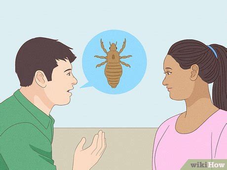 How To Treat Pubic Lice Symptoms Treatments And Prevention