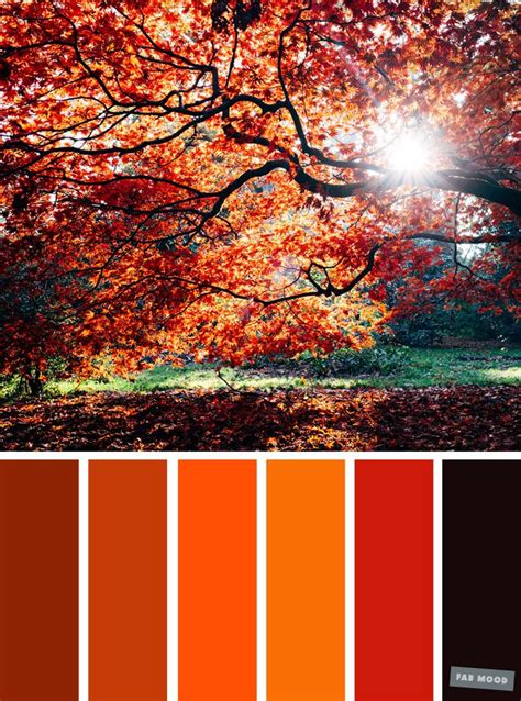 59 Pretty Autumn Color Schemes Orange Autumn Color Scheme Fabmood