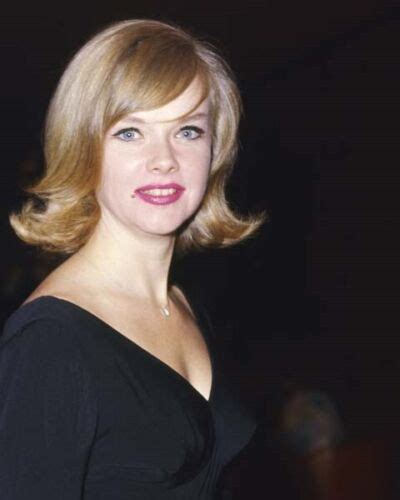 Anne Francis C1965 In Black Dress Honey West Star Smiles For Press