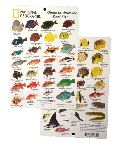 National Geographic Guide To Hawaiian Reef Fish Fish