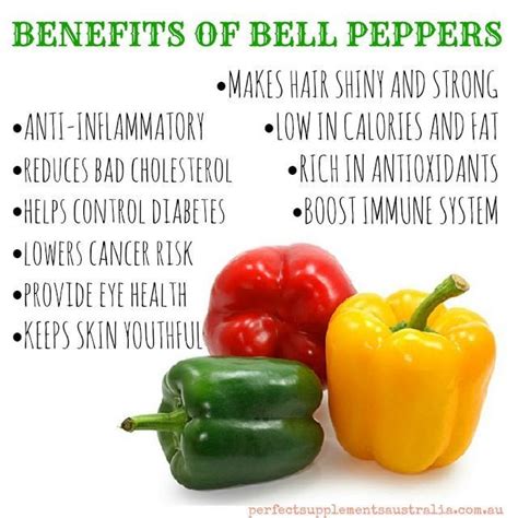 Health Benefits Of Bell Peppers Pass The Peppers 🌶️ Plantpowerz