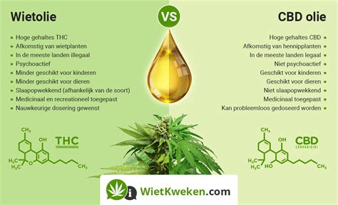 Wietolie Maken Zelf Wietolie THC Olie Maken