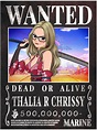 Anime Wanted Poster Custom Portrait in Black Wanted Poster - Etsy Australia