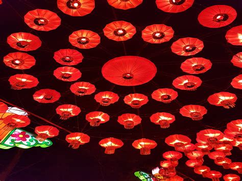 Chinese Lantern Lantern Lights Red Zoo Hd Wallpaper Peakpx