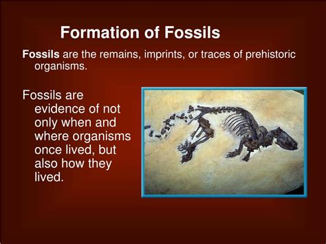 Ppt Fossils Powerpoint Presentation Free Download Id 5352070