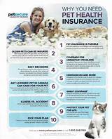 Trupanion Pet Insurance Quote Pictures