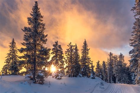 Cloudy Sunset Over Winter Forest Hd Wallpaper Background Image