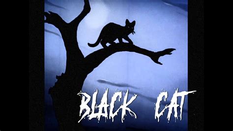 I´m A Black Cat The Surgeon Prod Phonk Halloween Visuals Youtube