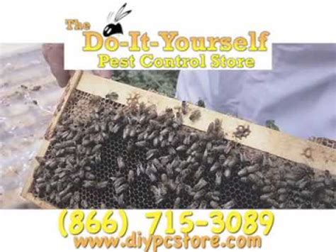 To go above and beyond you can request your pest company to make an extra trip while the guest are still there. Do-It-Yourself Pest Control Store, Marietta, GA - YouTube