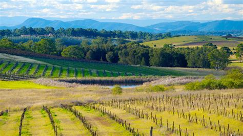 Located in the state of new south wales, the region has played a pivotal ro. Car Hire Hunter Valley from | Expedia