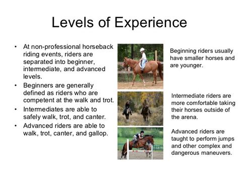Finns Horseback Riding Presentation