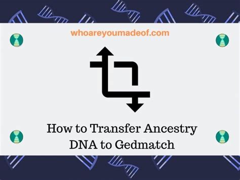 Gedmatch Archives - Who are You Made Of?