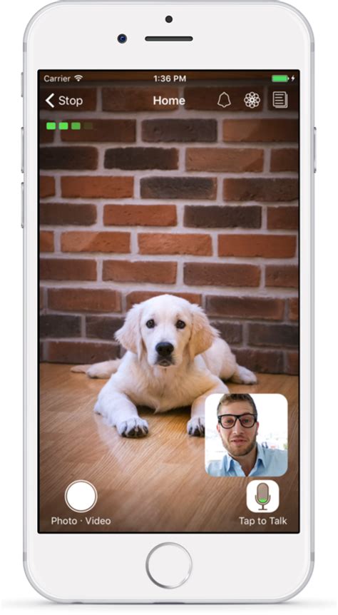 Spy camera apps can help you in many ways and provide you the desired objectives and results in a proper manageable way. Pet Monitor VIGI App: Dog Camera for iPhone, iPad, iPod ...