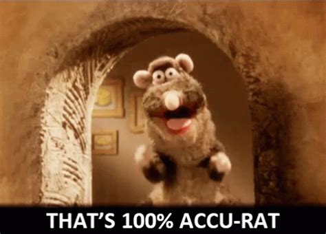 Percent Accurate Accu Rat Gif Percent Accurate Accu Rat