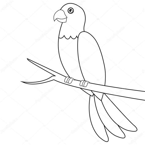 Parrot Line Drawing At Explore Collection Of