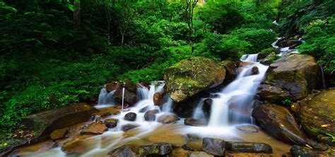 Waterfall River Forest Stream Tree Landscape Park Background Image