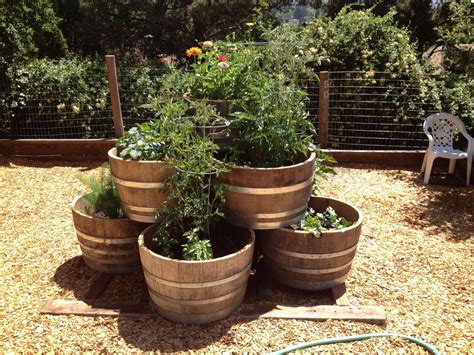 12 Best Wine Barrel Garden Ideas Gallery Wine Barrel Garden Barrel