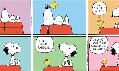 Peanuts Comic Strips