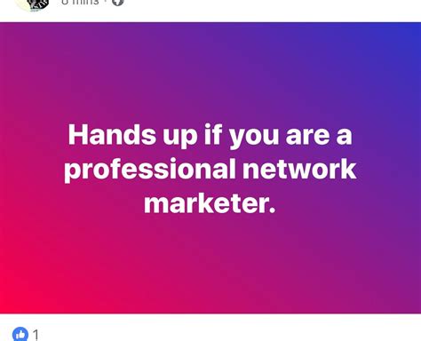Looool Putting The Word Professional Next To Network Marketer Like It’s An Actual Business