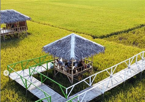 Wisata Sawah Pematang Johar Dan 6 Wisata Baru Di Sumut Tour Medan