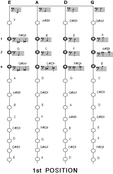 Technique Upright Bass Fingering Charts Faq Courtesy Of